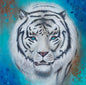 Tiger- 45.5x45.5cm Original Acrylic Painting on Canvas